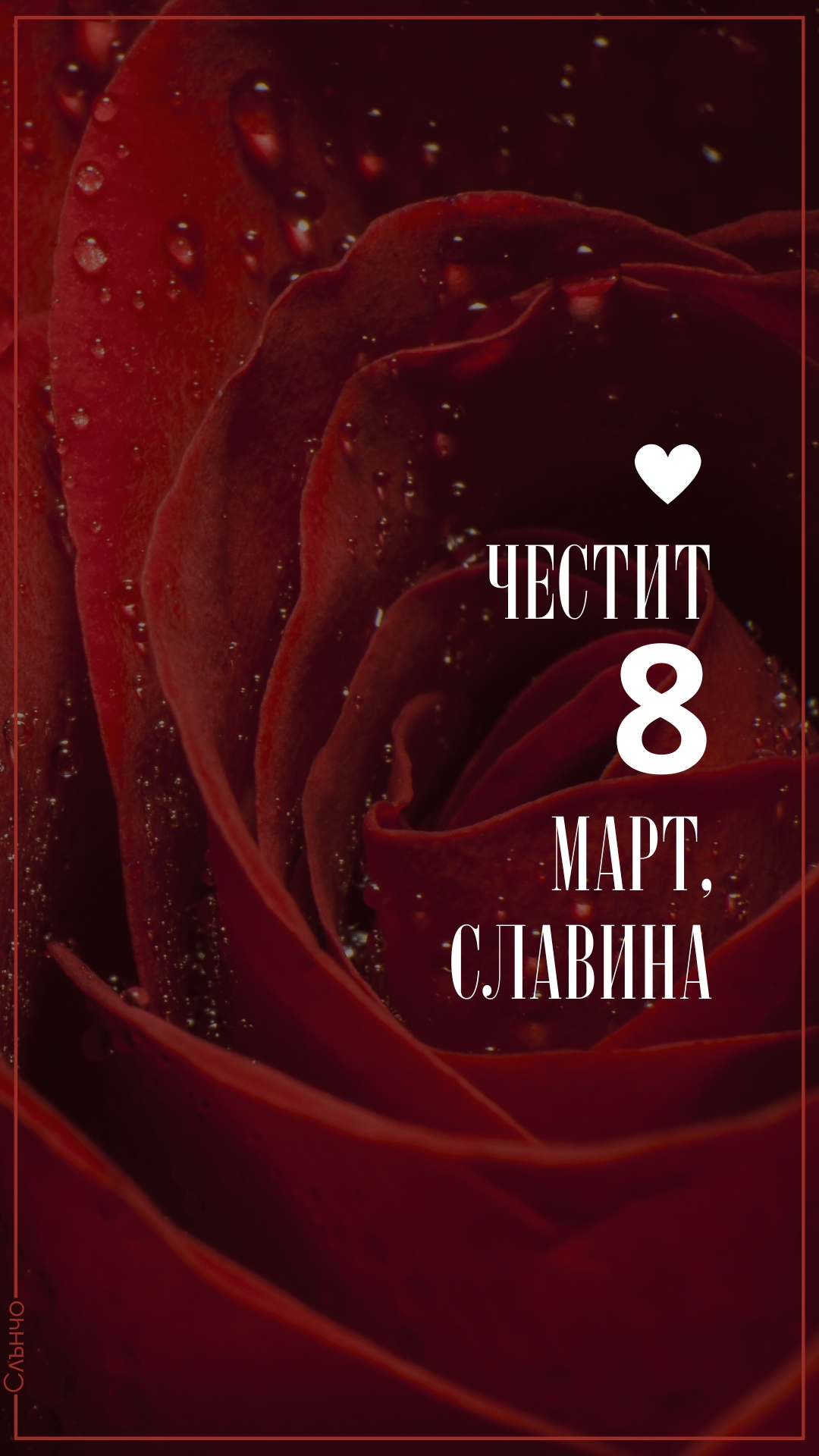 Честит 8 март с червена роза – Картички за 8 март